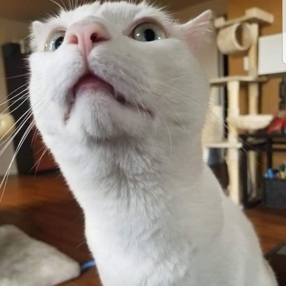 Meet your Posher, Merve - Picture 5 of 14